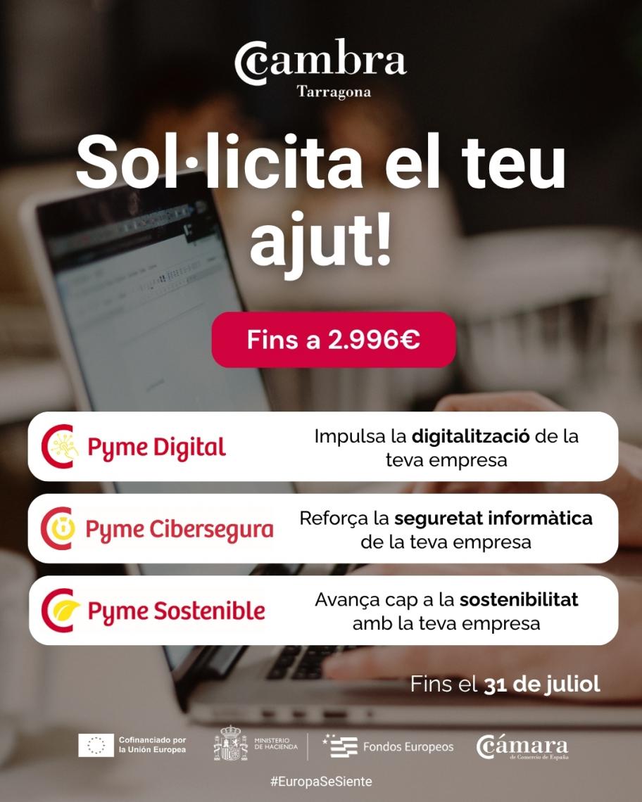 Sol·licita les ajudes Pyme Digital, Cibersegura i Sostenible